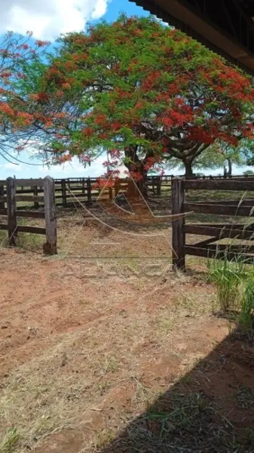 Foto 3 de Fazenda / Haras com 1 quarto à venda, 5396600m2 em Jales - SP