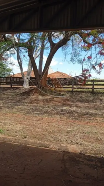 Foto 4 de Fazenda / Haras com 1 quarto à venda, 5396600m2 em Jales - SP
