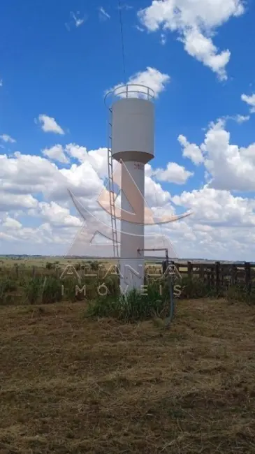 Foto 7 de Fazenda / Haras com 1 quarto à venda, 5396600m2 em Jales - SP