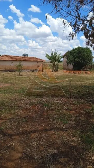 Foto 1 de Fazenda / Haras com 1 quarto à venda, 5396600m2 em Jales - SP