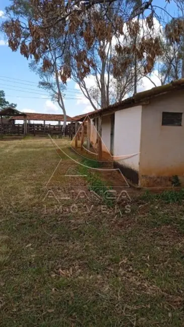 Foto 5 de Fazenda / Haras com 1 quarto à venda, 5396600m2 em Jales - SP