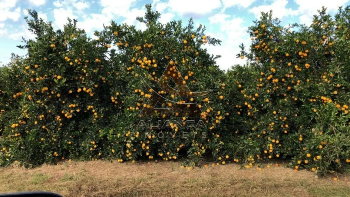 Foto 8 de Fazenda / Haras com 1 quarto à venda, 8639998m2 em Marilia - SP