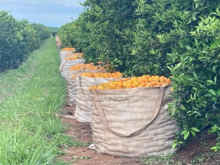 Foto 1 de Fazenda / Haras com 1 quarto à venda, 8639998m2 em Marilia - SP