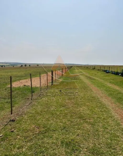 Foto 7 de Fazenda / Haras com 1 quarto à venda, 4573800m2 em Marilia - SP