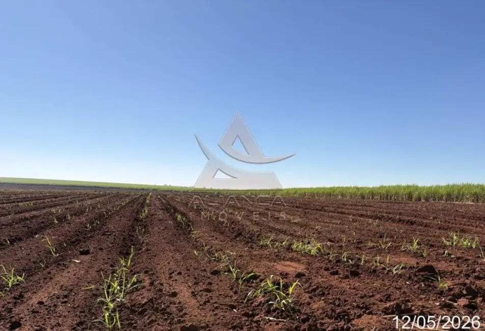 Fazenda / Haras com 4 quartos à venda, 3993000m2 em Colombia - SP - imagem 7 Foto 7 de Fazenda / Haras com 4 quartos à venda, 3993000m2 em Colombia - SP