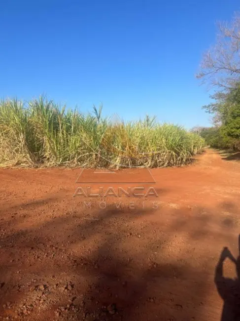 Foto 8 de Fazenda / Haras com 3 quartos à venda, 8929800m2 em Bariri - SP