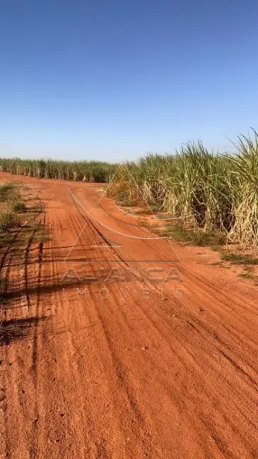 Foto 9 de Fazenda / Haras com 3 quartos à venda, 8929800m2 em Bariri - SP