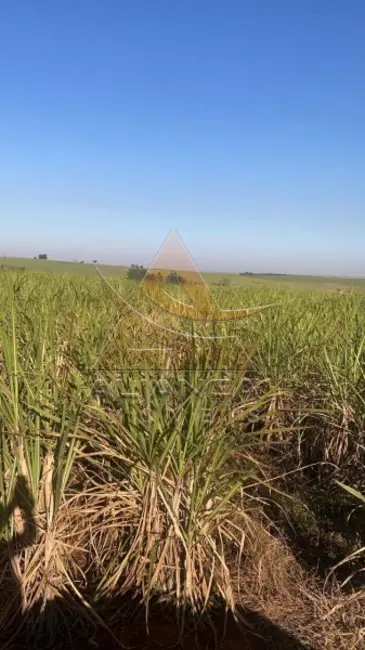 Foto 6 de Fazenda / Haras com 3 quartos à venda, 8929800m2 em Bariri - SP
