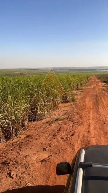 Foto 4 de Fazenda / Haras com 3 quartos à venda, 8929800m2 em Bariri - SP