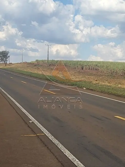 Fazenda / Haras com 2 quartos à venda, 9583200m2 em Sao Carlos - SP - imagem 9 Foto 9 de Fazenda / Haras com 2 quartos à venda, 9583200m2 em Sao Carlos - SP