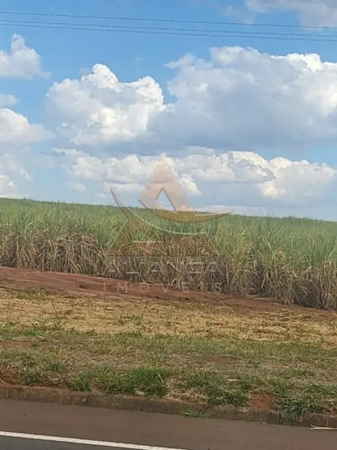 Fazenda / Haras com 2 quartos à venda, 9583200m2 em Sao Carlos - SP - imagem 5 Foto 5 de Fazenda / Haras com 2 quartos à venda, 9583200m2 em Sao Carlos - SP