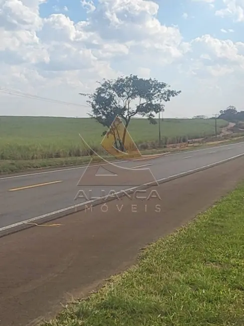 Fazenda / Haras com 2 quartos à venda, 9583200m2 em Sao Carlos - SP - imagem 8 Foto 8 de Fazenda / Haras com 2 quartos à venda, 9583200m2 em Sao Carlos - SP