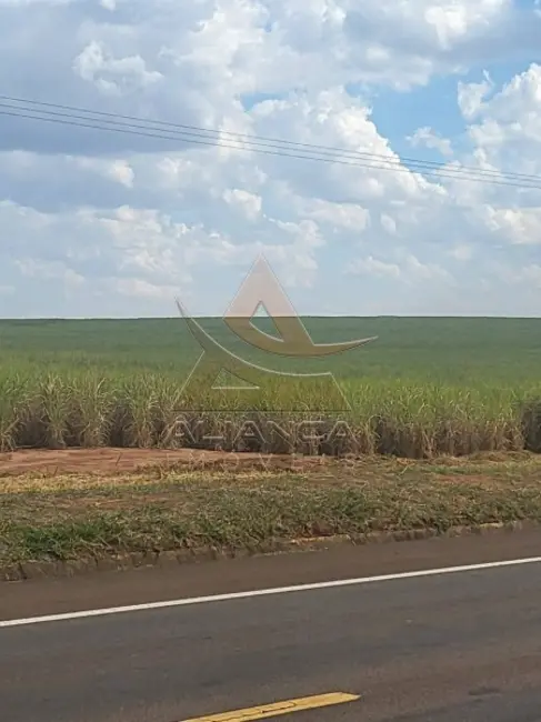 Fazenda / Haras com 2 quartos à venda, 9583200m2 em Sao Carlos - SP - imagem 7 Foto 7 de Fazenda / Haras com 2 quartos à venda, 9583200m2 em Sao Carlos - SP