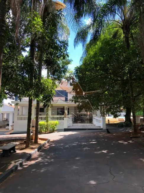 Foto 3 de Chácara com 4 quartos à venda, 4800m2 em Parque São Sebastião, Ribeirao Preto - SP