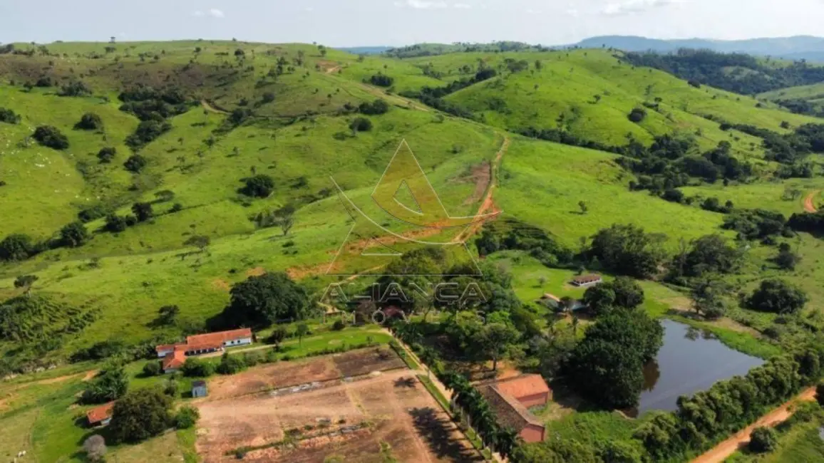 Foto 2 de Fazenda / Haras com 10 quartos à venda, 6025800m2 em Mogi Mirim - SP