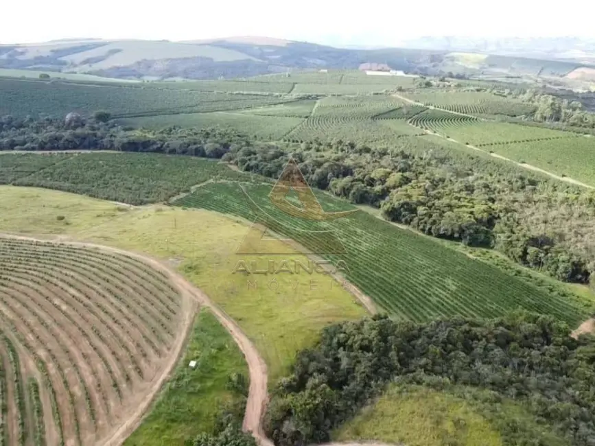 Foto 5 de Fazenda / Haras com 4 quartos à venda, 930000m2 em Capitolio - MG