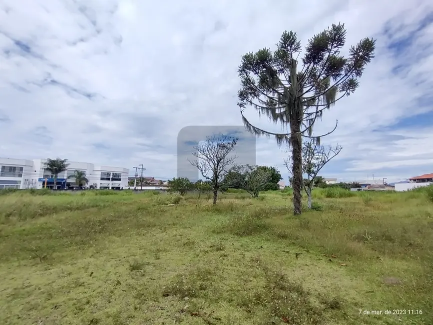Terreno / Lote à venda, 7759m2 em Centro, Tijucas - SC - imagem 7 Foto 7 de Terreno / Lote à venda, 7759m2 em Centro, Tijucas - SC