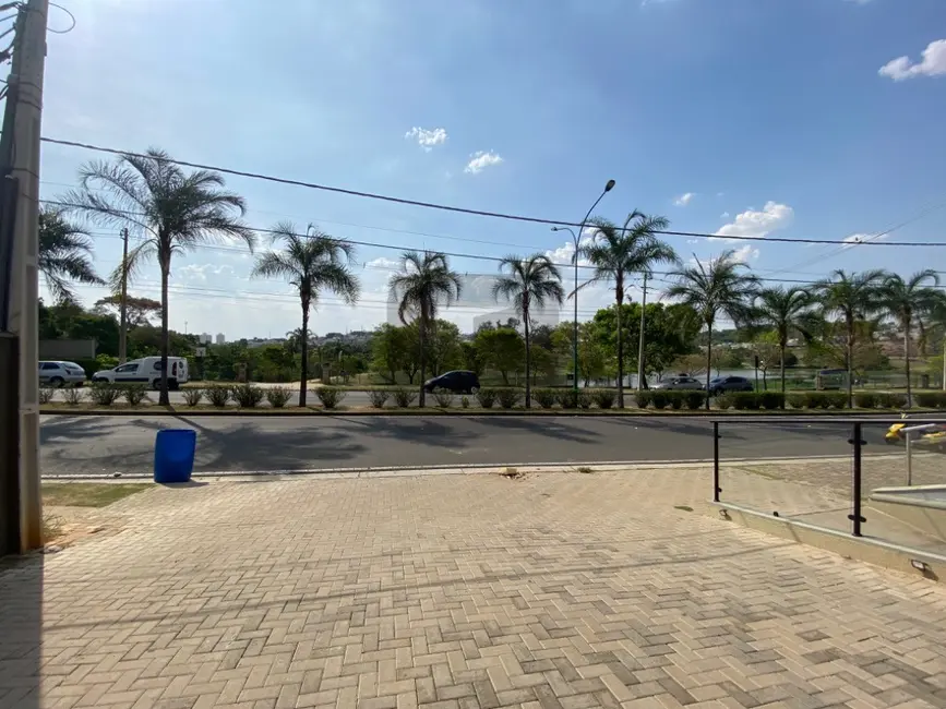 Sala Comercial para alugar, 100m2 em Swiss Park, Campinas - SP - imagem 3 Foto 3 de Sala Comercial para alugar, 100m2 em Swiss Park, Campinas - SP