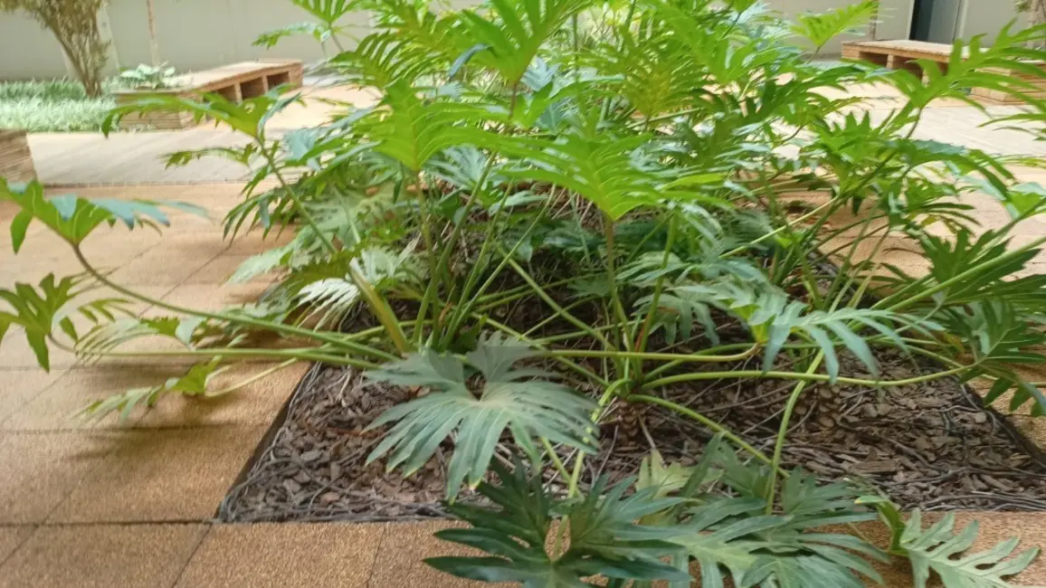 Foto 8 de Sala Comercial para alugar, 40m2 em Swiss Park, Campinas - SP