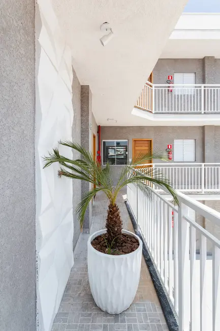 Apartamento com 2 quartos à venda em Parque Paulistano, São Paulo - SP - imagem 3 Foto 3 de Apartamento com 2 quartos à venda em Parque Paulistano, São Paulo - SP