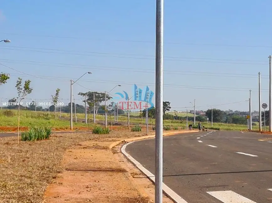 Terreno / Lote à venda em Sao Jose Do Rio Preto - SP - imagem 2 Foto 2 de Terreno / Lote à venda em Sao Jose Do Rio Preto - SP