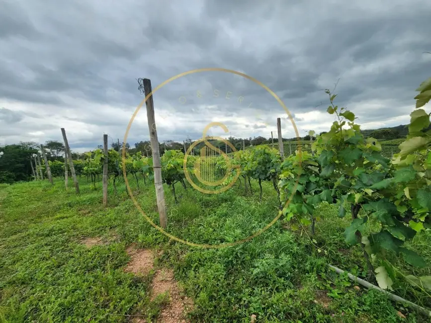 Chácara à venda, 12m2 em Louveira - SP - imagem 3 Foto 3 de Chácara à venda, 12m2 em Louveira - SP