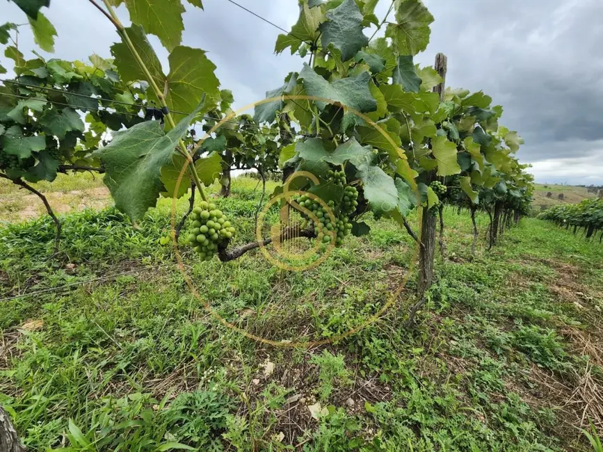 Chácara à venda, 12m2 em Louveira - SP - imagem 4 Foto 4 de Chácara à venda, 12m2 em Louveira - SP