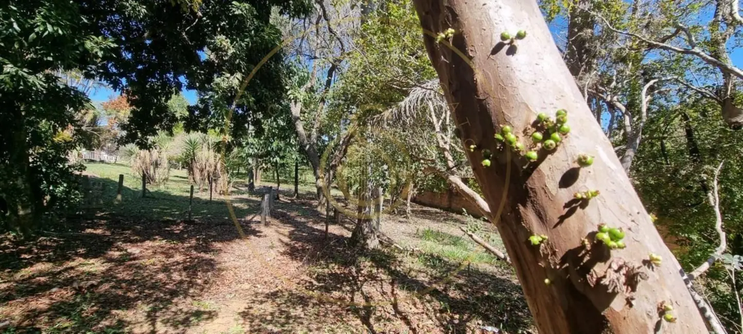 Foto 3 de Chácara com 3 quartos para alugar em Itupeva - SP