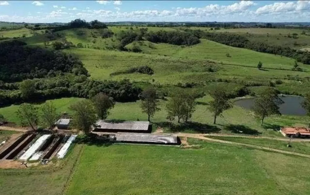 Fazenda / Haras à venda, 300m2 em Itapetininga - SP - imagem 5 Foto 5 de Fazenda / Haras à venda, 300m2 em Itapetininga - SP
