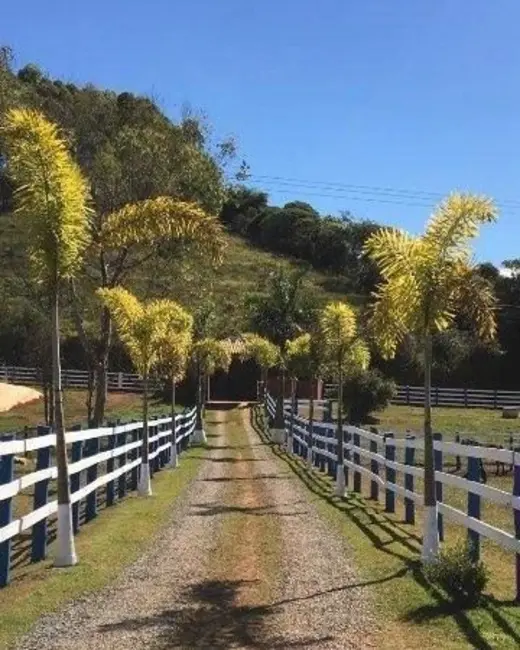 Foto 4 de Fazenda / Haras com 3 quartos à venda em Itanhandu - MG