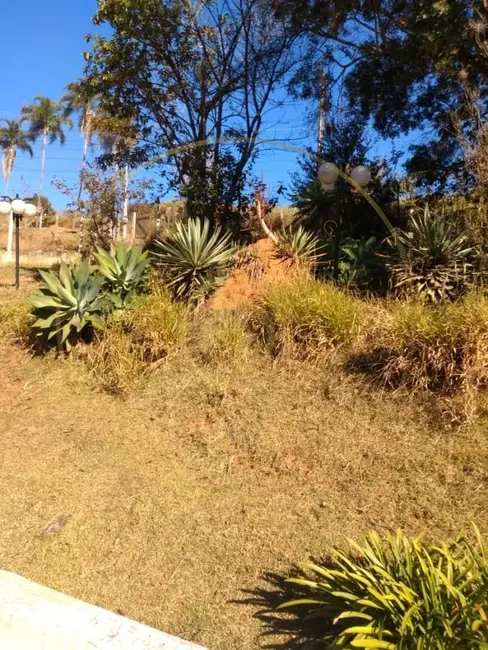Foto 45 de Fazenda / Haras à venda em Suzano - SP