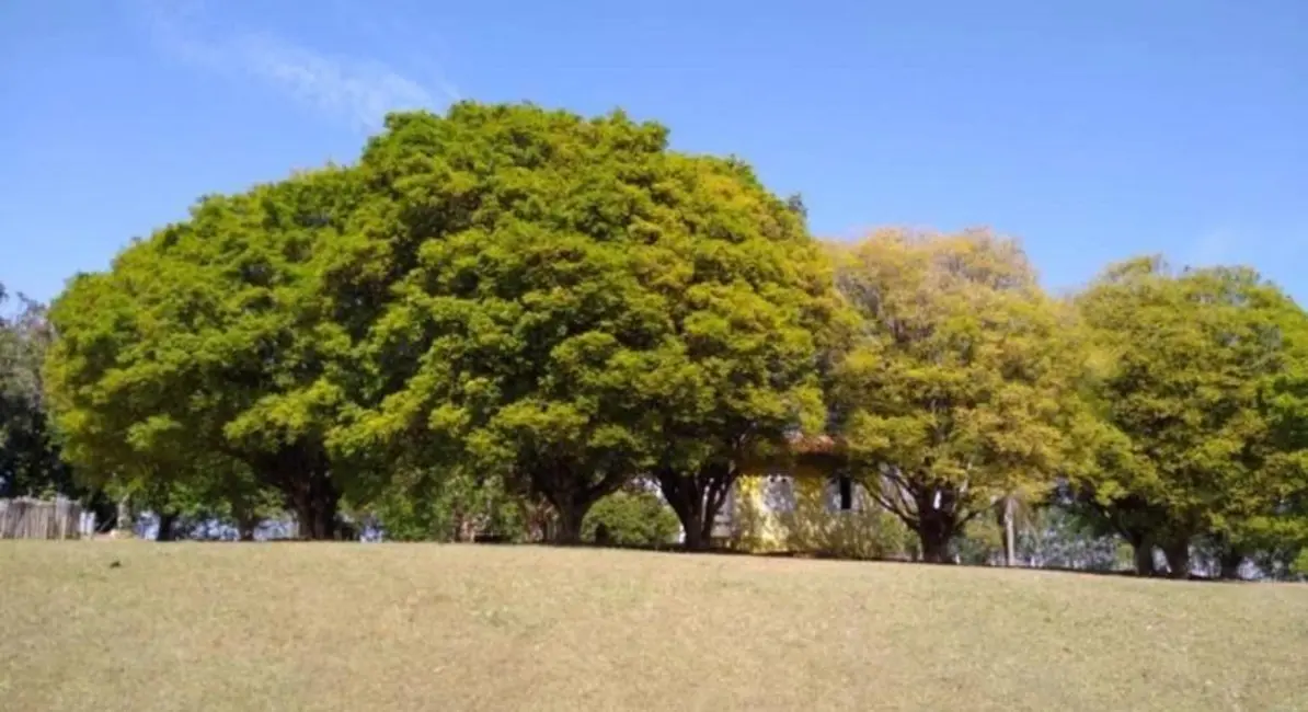 Foto 8 de Fazenda / Haras com 8 quartos à venda, 301m2 em Campinas - SP