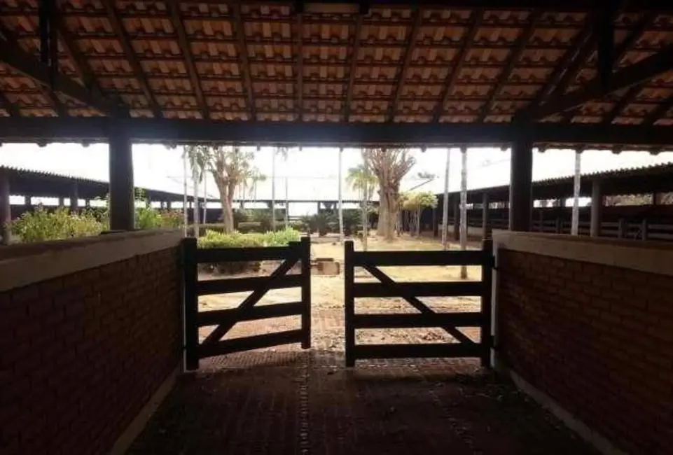 Chácara à venda em Centro, Uberaba - MG - imagem 4 Foto 4 de Chácara à venda em Centro, Uberaba - MG