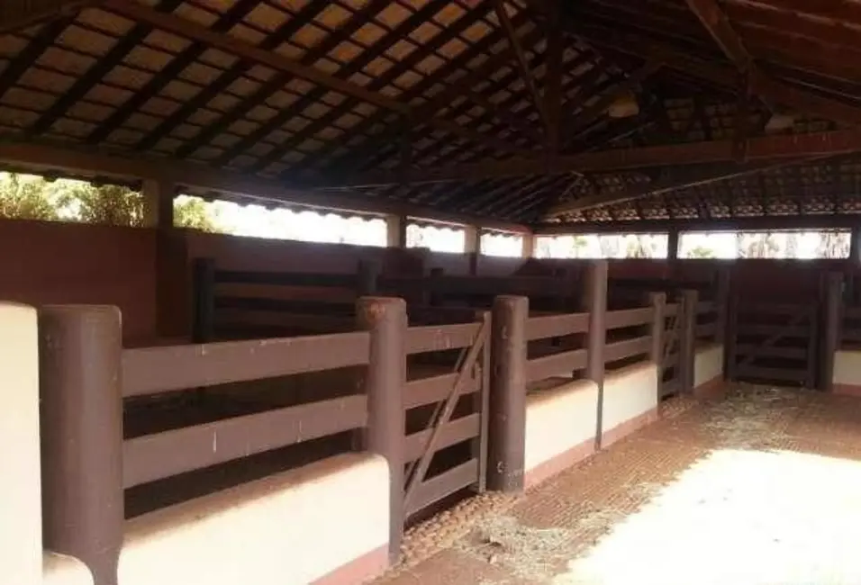 Chácara à venda em Centro, Uberaba - MG - imagem 5 Foto 5 de Chácara à venda em Centro, Uberaba - MG