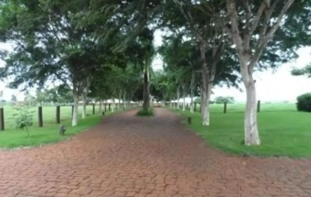 Chácara à venda em Centro, Uberaba - MG - imagem 9 Foto 9 de Chácara à venda em Centro, Uberaba - MG