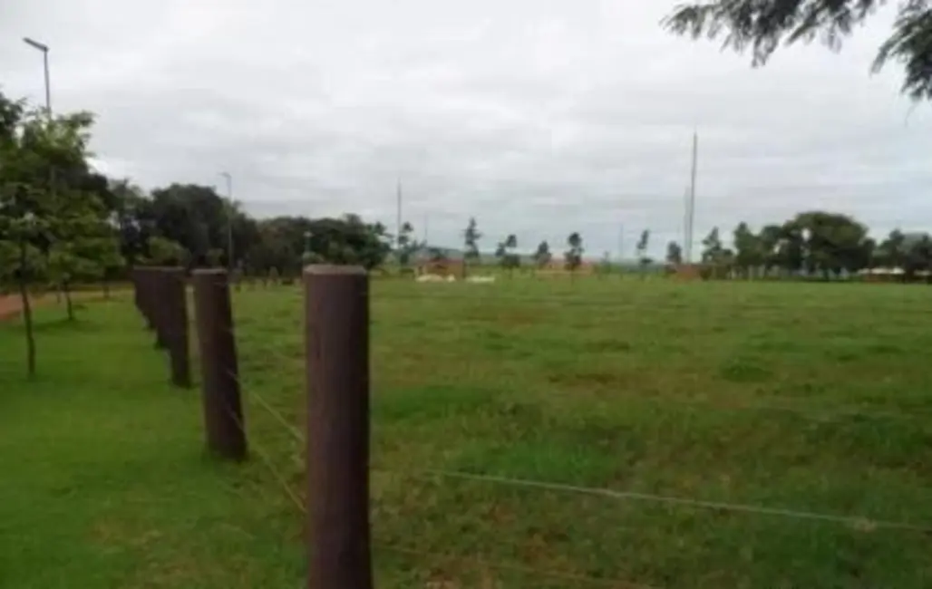 Chácara à venda em Centro, Uberaba - MG - imagem 20 Foto 20 de Chácara à venda em Centro, Uberaba - MG
