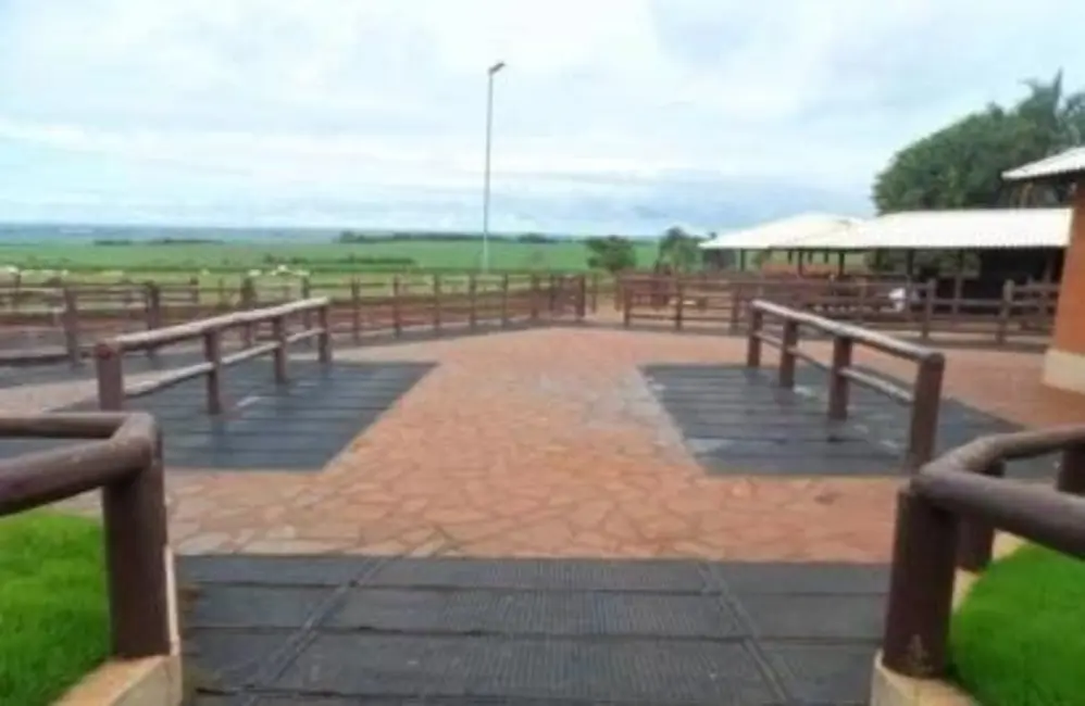 Chácara à venda em Centro, Uberaba - MG - imagem 16 Foto 16 de Chácara à venda em Centro, Uberaba - MG