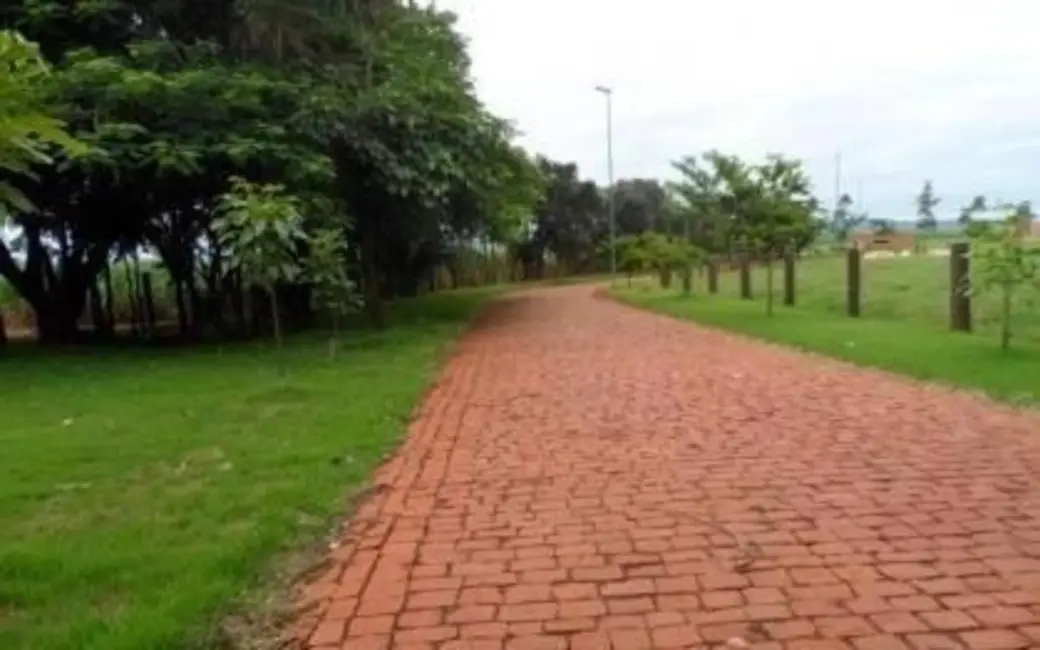 Chácara à venda em Centro, Uberaba - MG - imagem 11 Foto 11 de Chácara à venda em Centro, Uberaba - MG