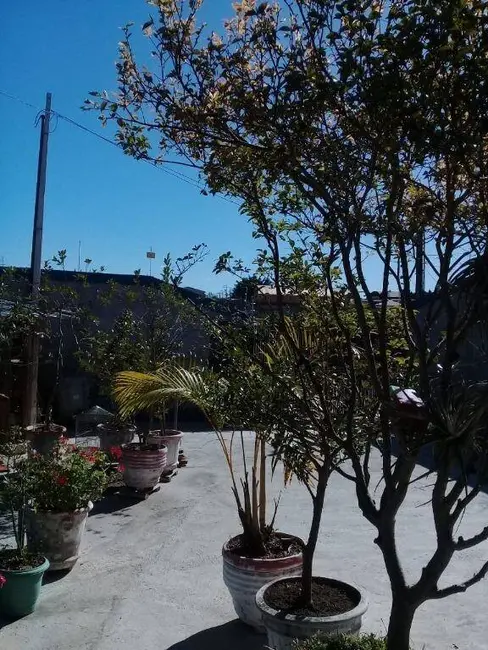 Foto 7 de Chácara com 3 quartos à venda, 160m2 em Parque Aeroporto, Taubate - SP