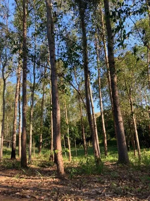 Foto 2 de Chácara com 2 quartos à venda, 180m2 em Centro, Taubate - SP