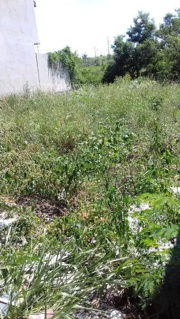 Foto 2 de Terreno / Lote à venda, 304m2 em Tremembe - SP