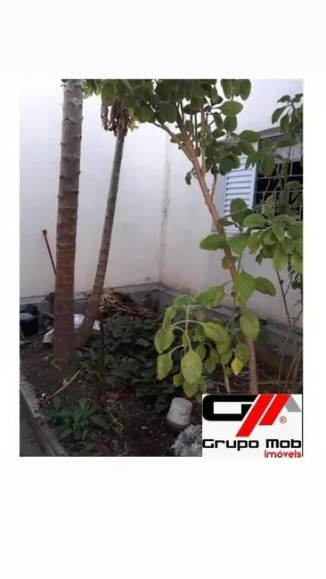 Foto 7 de Casa com 2 quartos à venda, 170m2 em Jardim Santa Clara, Taubate - SP