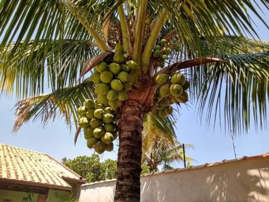 Foto 7 de Chácara com 2 quartos à venda, 900m2 em Piracangaguá, Taubate - SP