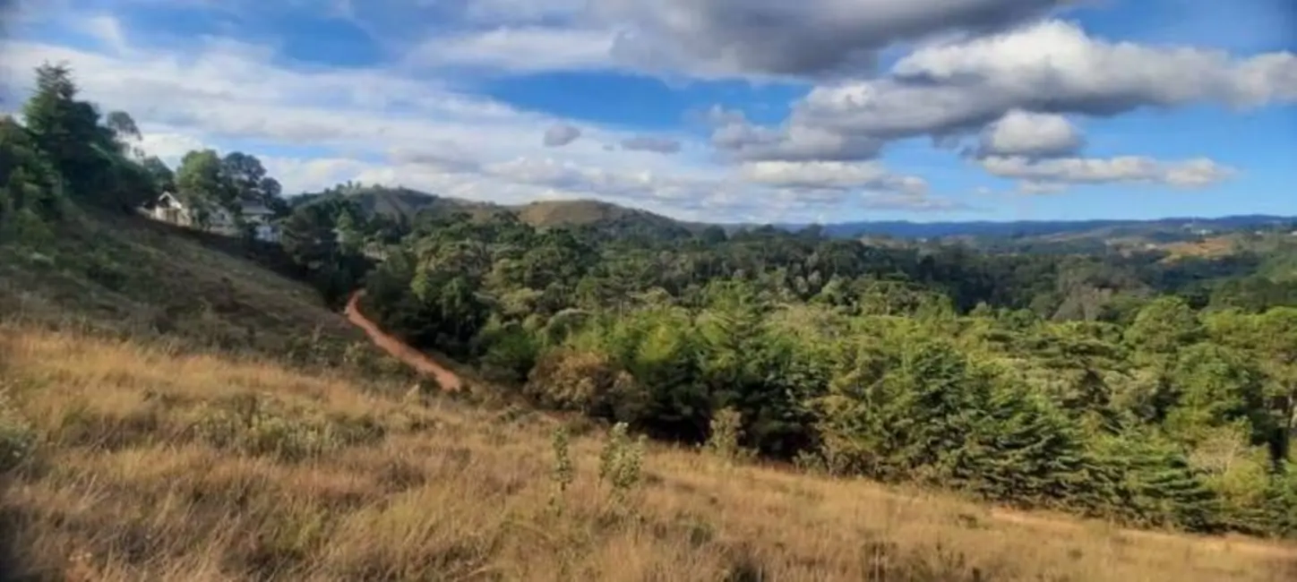 Foto 3 de Terreno / Lote à venda, 1010m2 em Campos Do Jordao - SP