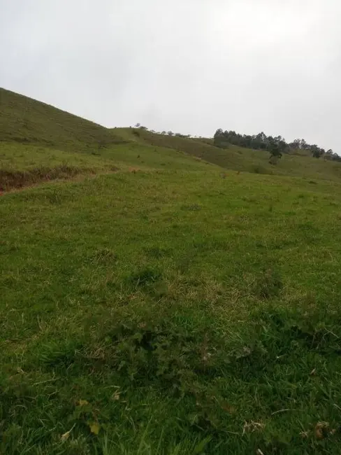 Foto 8 de Sítio / Rancho com 2 quartos à venda, 302500m2 em Centro, Taubate - SP