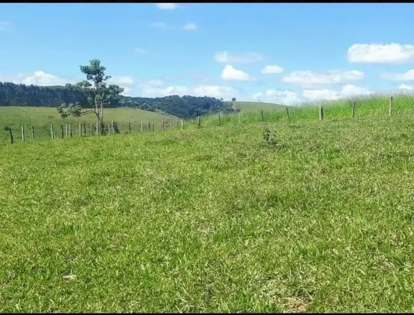 Foto 5 de Sítio / Rancho à venda, 25000m2 em Monte Belo, Taubate - SP