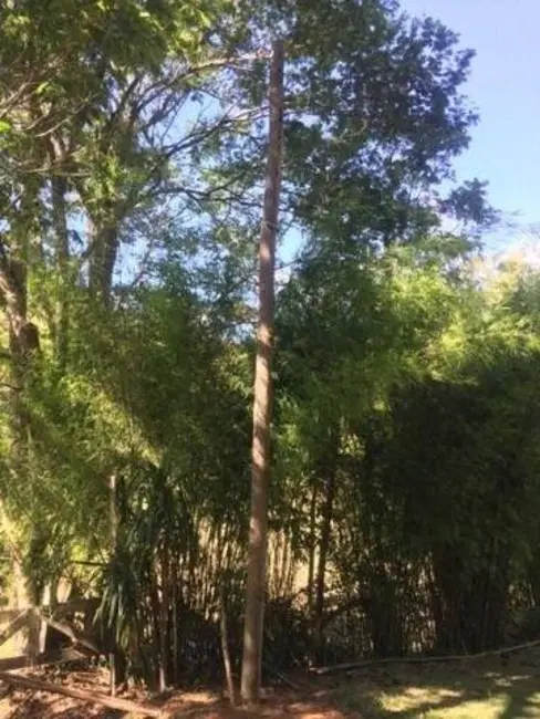 Foto 2 de Sítio / Rancho com 3 quartos à venda, 300m2 em Sao Luiz Do Paraitinga - SP