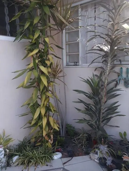 Foto 7 de Casa com 3 quartos à venda, 190m2 em Tremembe - SP