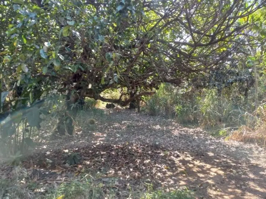 Foto 6 de Terreno / Lote à venda, 6000m2 em Esplanada Independência, Taubate - SP