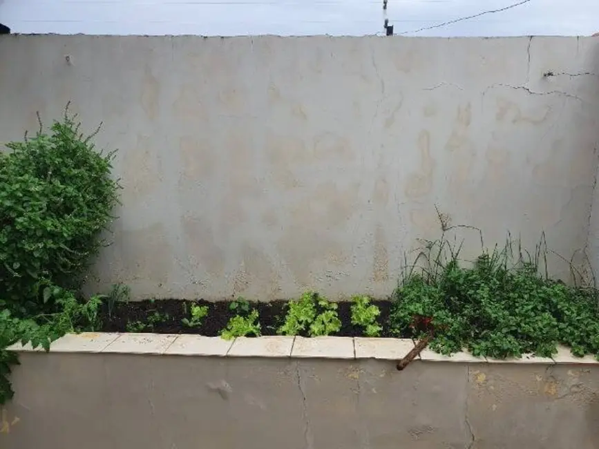 Foto 7 de Casa com 2 quartos à venda, 276m2 em Parque das Flores, Taubate - SP